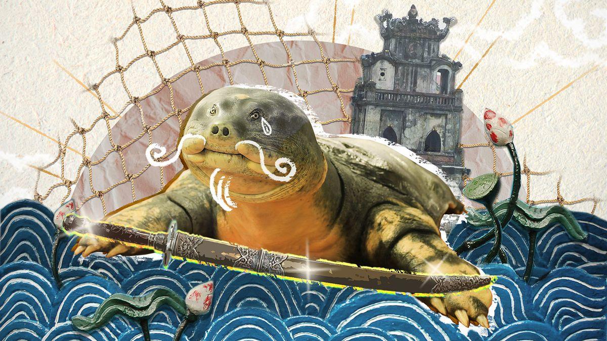 Chuyện đời thương tâm, cô độc trăm năm của cụ rùa hồ Gươm - Sài·gòn·eer